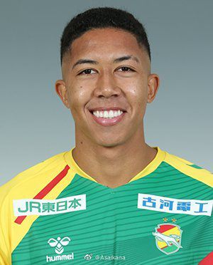 日本伦乱视频