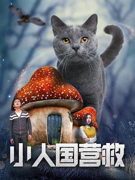 打小腹vk