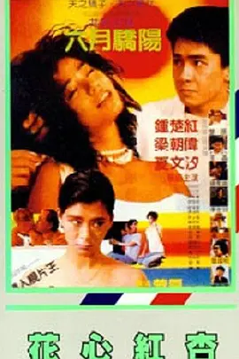 美女操操六月六导航