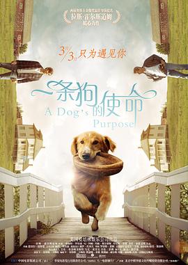 伊人2222