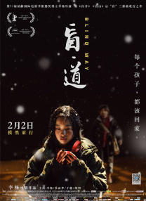 国产精品免费久久久久电影网