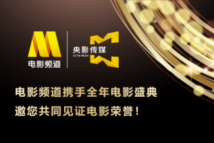久久久久久综合成人精品